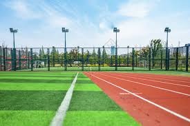 为简化计划并提高有效性 马泳总年杪重组国家游泳队